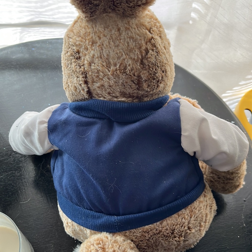 Peter Rabbit Plush - Picture 3 of 4